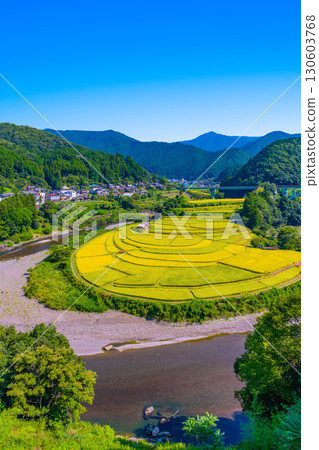 和歌山縣荒木島：秋收 130603768