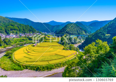 Aragi Island, Wakayama Prefecture: Autumn harvest Aragi Island, Wakayama Prefecture: Autumn harvest 130603769