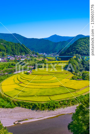 Aragi Island, Wakayama Prefecture: Autumn harvest Aragi Island, Wakayama Prefecture: Autumn harvest 130603776