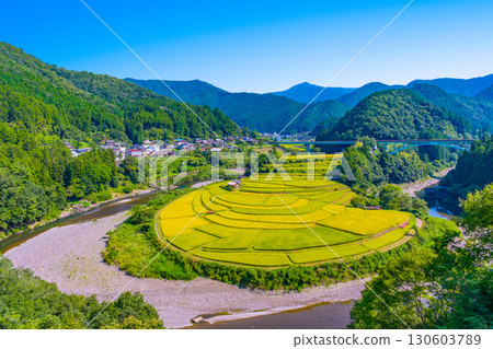 Aragi Island, Wakayama Prefecture: Autumn harvest 130603789