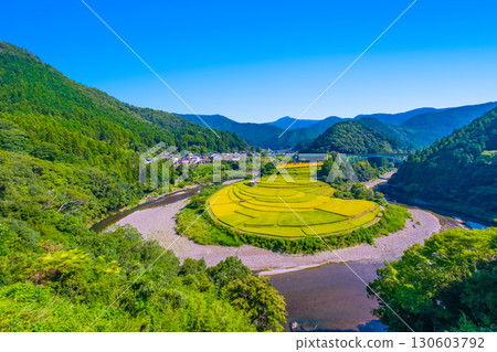 Aragi Island, Wakayama Prefecture: Autumn harvest 130603792
