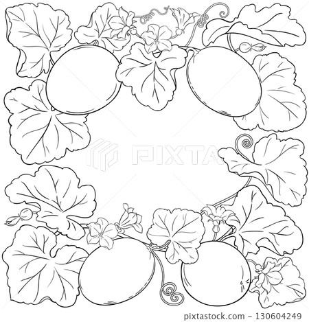 Melon Plant with Fruits Outline Frame. Melon Plant with Fruits Outline Frame. 130604249