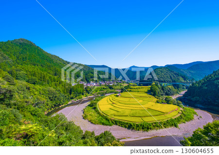 Aragi Island, Wakayama Prefecture: Autumn harvest 130604655