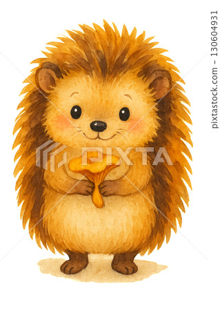 Adorable small hedgehog gently holding fresh chanterelle mushroom on transparent background in PNG format with clean lines 130604931