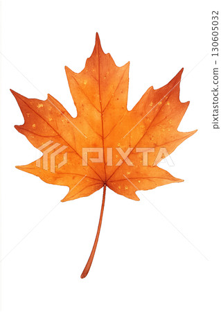 Transparent PNG watercolor maple leaf with metallic gold fleck accents isolated on white background 130605032