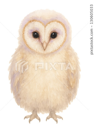 Baby barn owl chick perched on delicate branch against soft cream and sand background transparent PNG 130605033