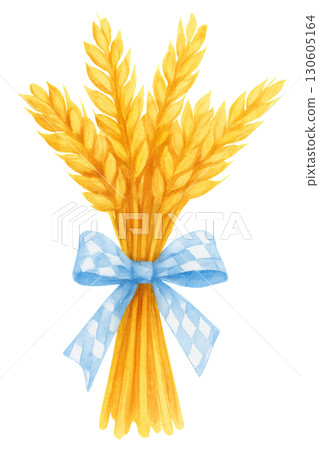 Bundle of golden wheat stalks neatly tied with jute twine on transparent PNG background 130605164