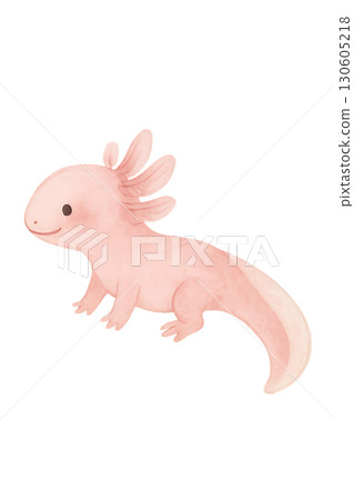 Charming young axolotl with soft blush pink watercolor wash and transparent PNG background for creative overlays 130605218