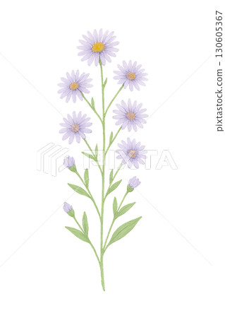 Clean Lines watercolor effect illustration of cozy knit winter beanie hat with fluffy pom pom on transparent background PNG image 130605367