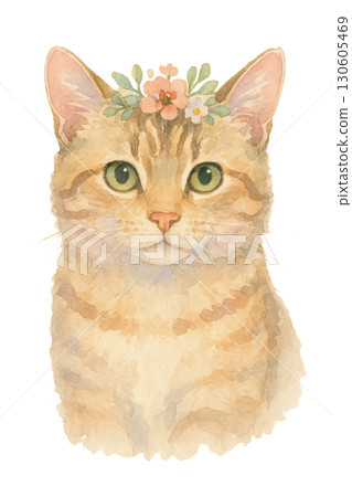 Soft Warm Tabby Cat Cozy Portrait With Tiny Floral Accent On Transparent Background 130605469