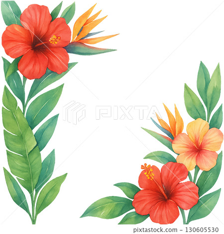 Tropical Hibiscus and Bird of Paradise Watercolor Floral Frame with Transparent Background PNG 130605530