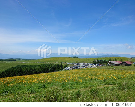 Kirigamine 130605697