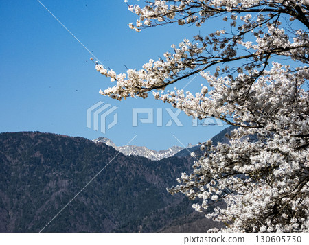 Mountain landscape in Nagano prefecture 130605750