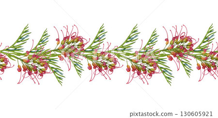 Grevillea flower seamless border decor element botanical watercolor illustration. Hand drawn Australia native wildflower. Blooming grevillea exotic decoration design element on white background Grevillea flower seamless border decor element botanical watercolor illustration. Hand drawn Australia native wildflower. Blooming grevillea exotic decoration design element on white background 130605921