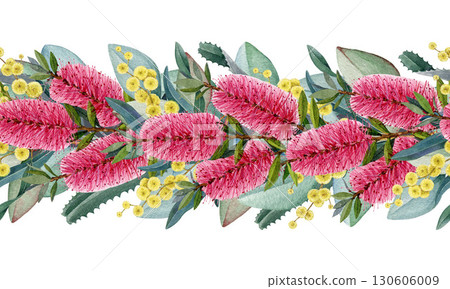 Australia native flowers seamless border. Hand drawn watercolor vintage style illustration. Bottlebrush, golden wattle flowers with eucalyptus leaves seamless border decor element on white background 130606009