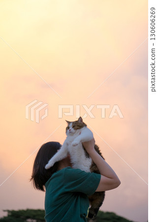 summer and new year travel concept with woman play and holding scottish cat with twilight sky background 130606269