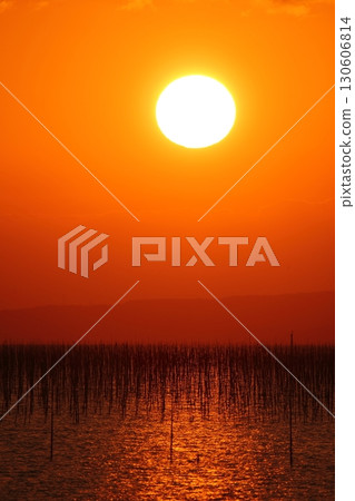 Omuta City, Ariake Sea, Nori field, New Year's Day dusk, 130606814