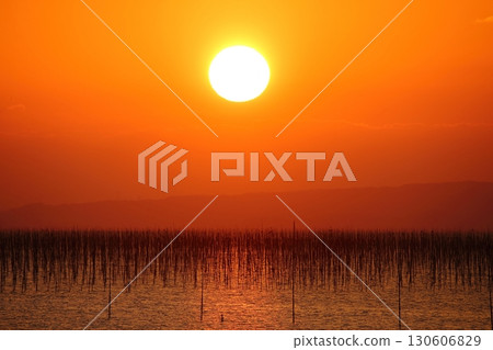 大牟田市、有明海、海苔田、元旦黃昏、 130606829