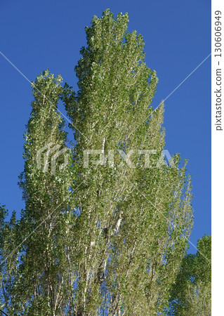 Kyrgyzstan_ Barsko-on_National Highway A364 130606949