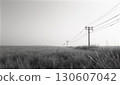 Electric poles lined up in the grassland 130607042