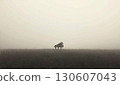 A piano standing in a misty meadow 130607043