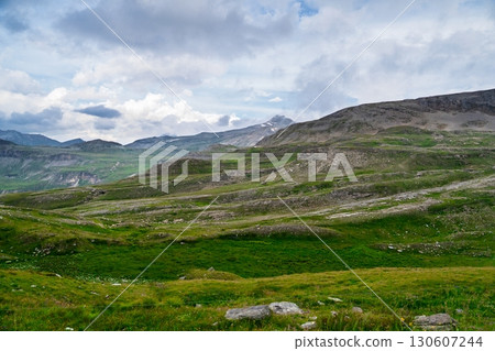 Alpine Meadow Landscape near Zell am See-Kaprun, Austria Serene Mountain Vista, Green Pastures 130607244