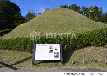 November: Takamatsuzuka Tomb in Asuka Village 130607375