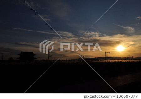 十一月，深秋時節的平城京遺址，芒草的晚景 130607377