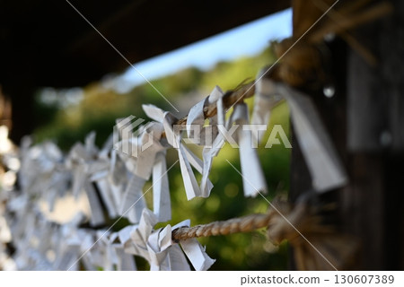 Wish upon Omikuji Wish upon Omikuji 130607389