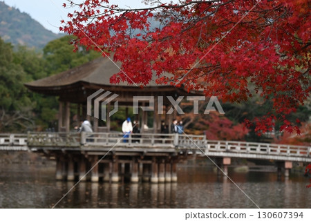 11月,奈良公園浮見堂 11月,奈良公園浮見堂 130607394