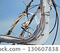 A landscape with power lines, a sparrow is using them 130607838