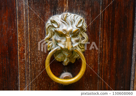Brass door knocker in the shape of a lion holding a ring in its teeth 130608060