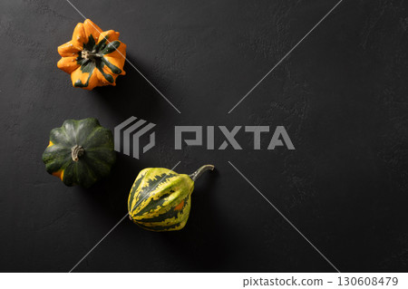 Autumn colorful decorative small pumpkins on black background. Harvest day concept. Top view. Thanksgiving Day. Copy space. 130608479