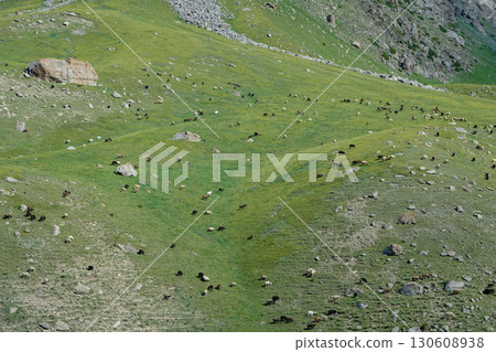 Kyrgyzstan_Trail along the Dongurme River 130608938