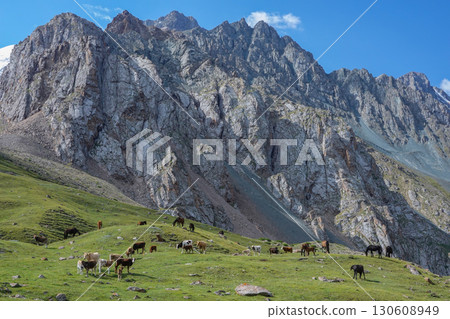 Kyrgyzstan_Trail along the Dongurme River 130608949