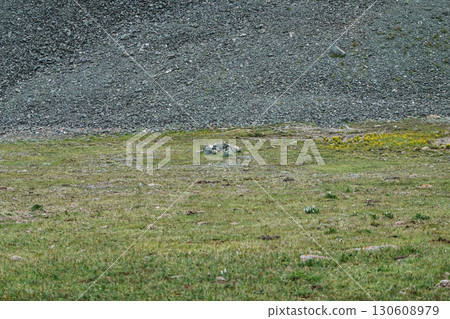 吉爾吉斯斯坦_東古爾梅河沿岸的步道 130608979