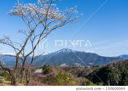 A distant view of Mt. Ena in spring A distant view of Mt. Ena in spring 130609069
