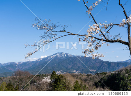 春天遠眺惠那山 130609113