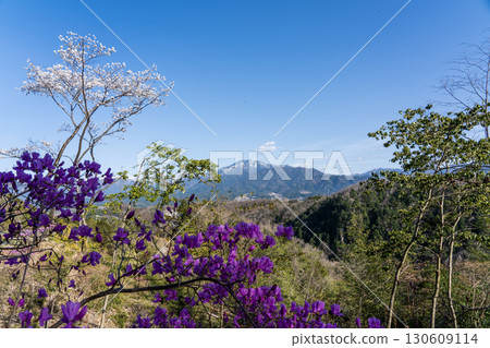 春天遠眺惠那山 130609114
