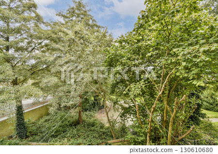 A vibrant scene showcasing dense trees and lush foliage under a bright, blue sky, highlighting nature's beauty and tranquility. 130610680
