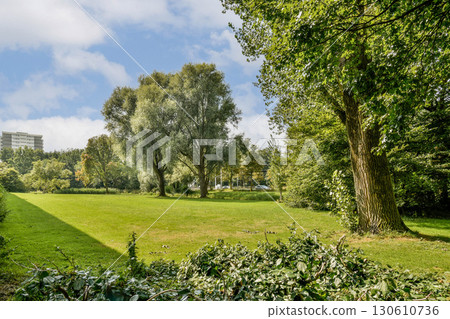 A serene park scene showcasing vibrant greenery, towering trees, and a clear blue sky, inviting relaxation and tranquility in nature's embrace. A serene park scene showcasing vibrant greenery, towering trees, and a clear blue sky, inviting relaxation and tranquility in nature's embrace. 130610736