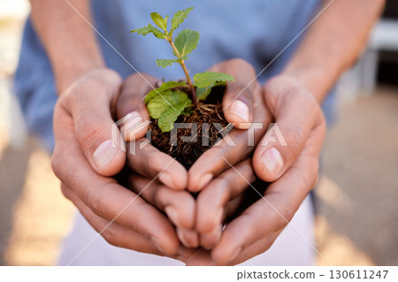 Plants, hands and people in teamwork, community and earth day for support, sustainability and climate change. Closeup, growth and holding soil, sand and spring leaf in nature, environment ngo or hope Plants, hands and people in teamwork, community and earth day for support, sustainability and climate change. Closeup, growth and holding soil, sand and spring leaf in nature, environment ngo or hope 130611247