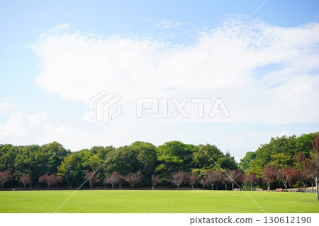 A park scene with blue skies and grass - a natural summer outdoor scene 130612190