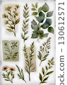 herbal medicine in bottle 130612571