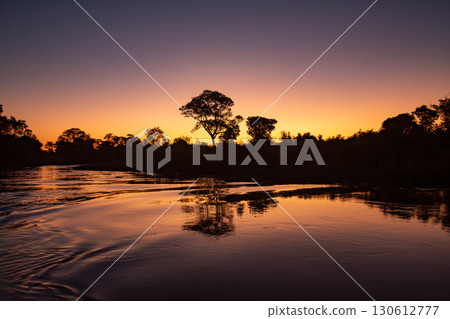 Breathtaking landscape of the Pantanal at dusk, Mato Grosso do Sul, Brazil. Brazilian nature and wilderness. 130612777