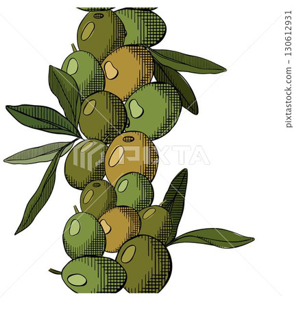 Olive berry with leaves seamless vertical border. Vector graphic line ink colored illustration. Mediterranean Vintage packaging design for fabric, kitchen textile, packaging prints, frames Olive berry with leaves seamless vertical border. Vector graphic line ink colored illustration. Mediterranean Vintage packaging design for fabric, kitchen textile, packaging prints, frames 130612931