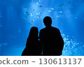 Couple looking at a fish tank at an aquarium 130613137