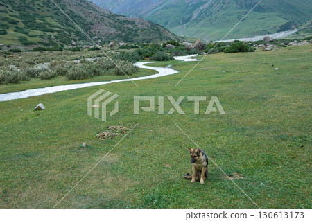 Kyrgyzstan_Trail along the Djuk River Kyrgyzstan_Trail along the Djuk River 130613173