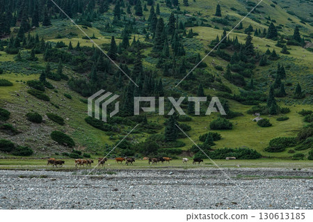 Kyrgyzstan_Trail along the Djuk River 130613185