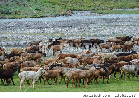 吉爾吉斯_沿著朱克河的小徑 130613188